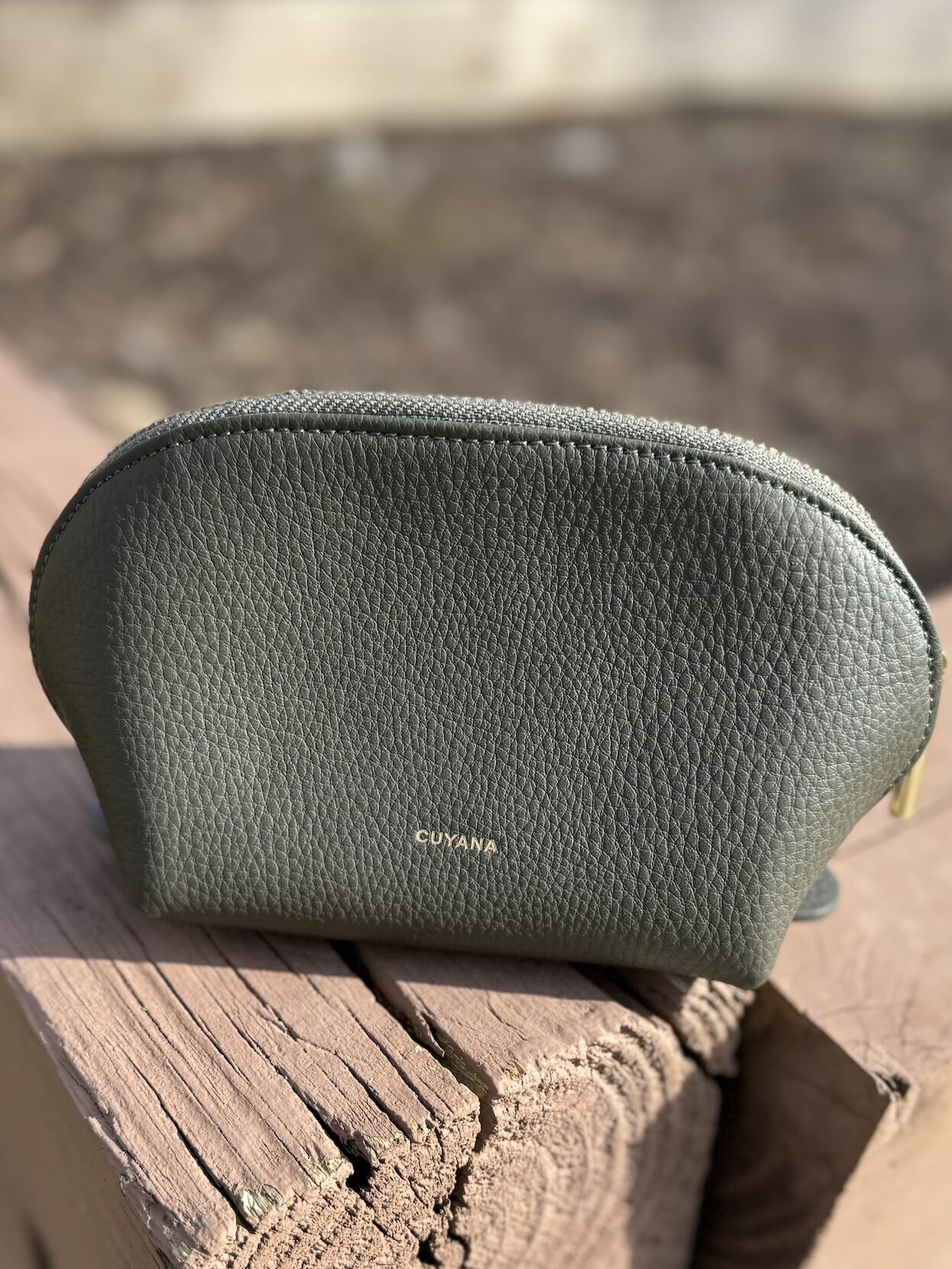 cuyana travel case set